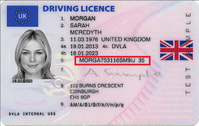 DVLA.png